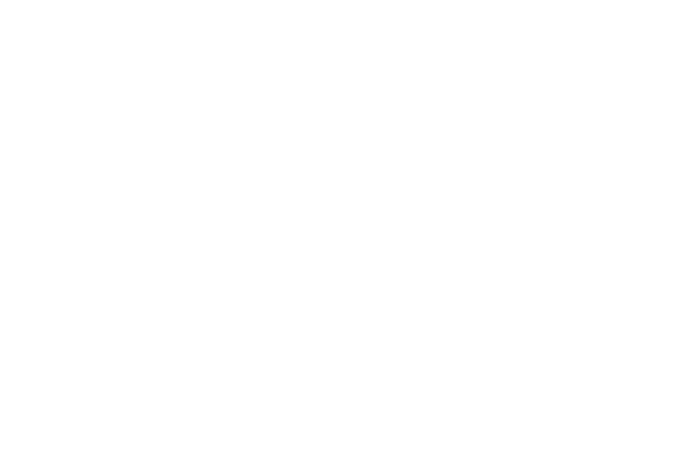 Venture Capital